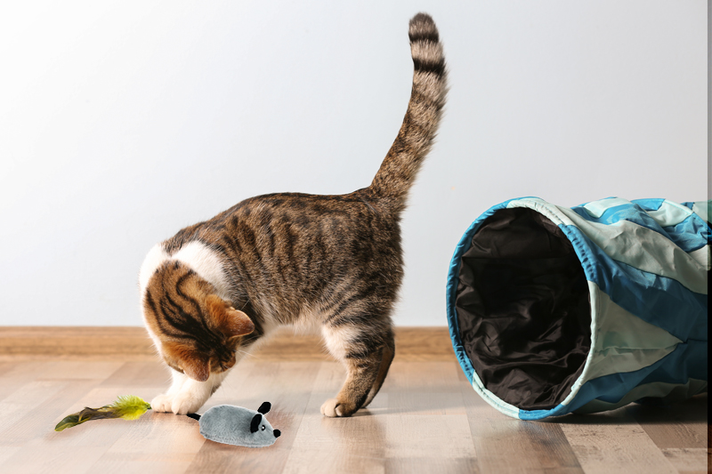 Interaktywna zabawka dla kota – uciekająca mysz