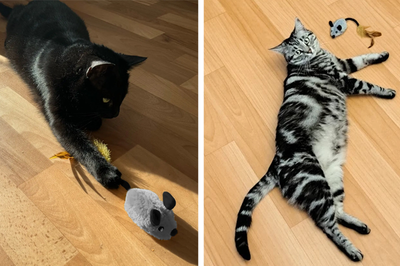 Interaktywna zabawka dla kota – uciekająca mysz