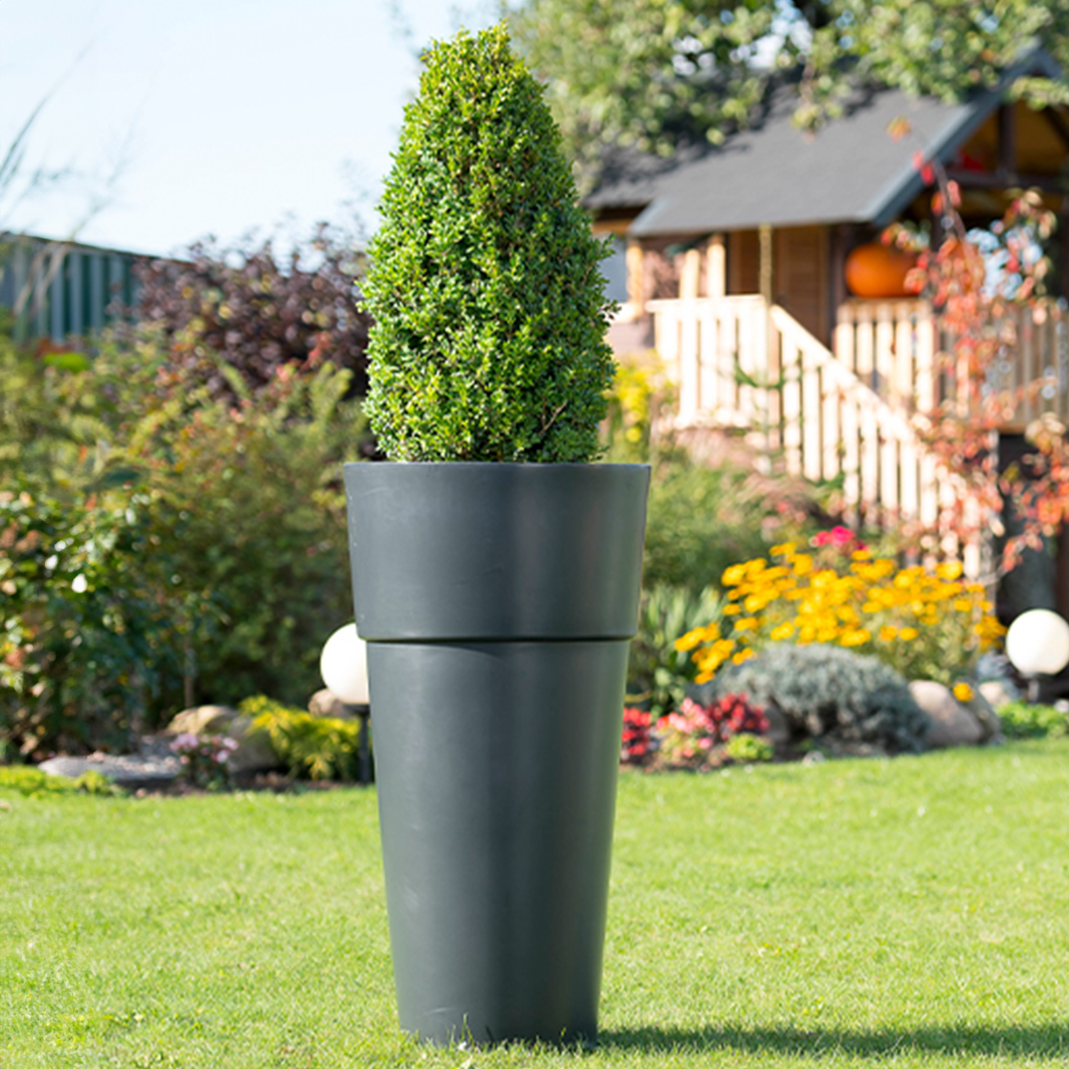 DNKARI100PD_AT_min02