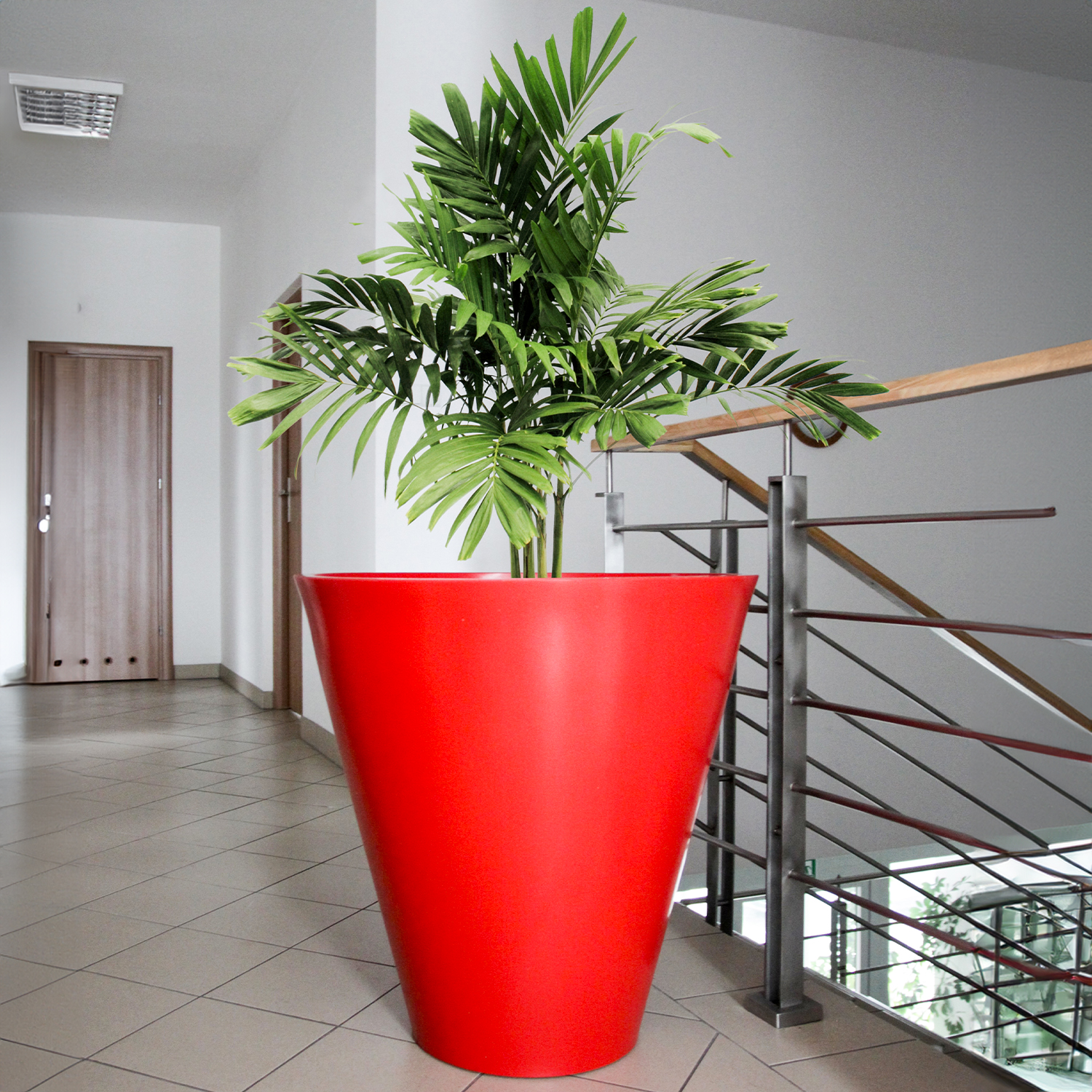 DNMERCURY60_RD_min02